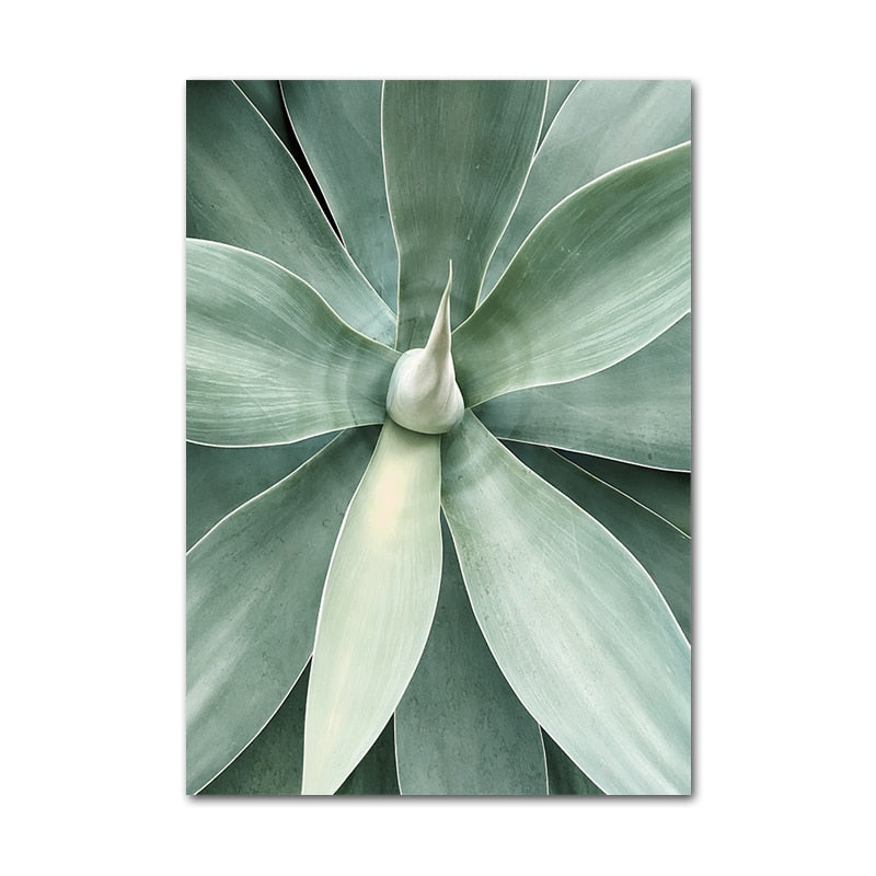 Affiche Jungle Plantes Déco-exotique.fr