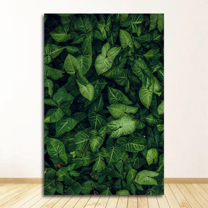 Poster Forêt-Déco Exotique