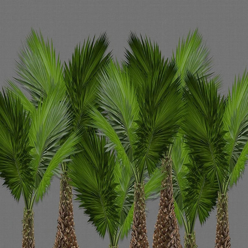 Papier peint Tropical Grands Palmiers déco-exotique.fr