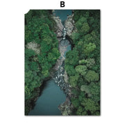 Poster Jungle Brume Déco-exotique.fr