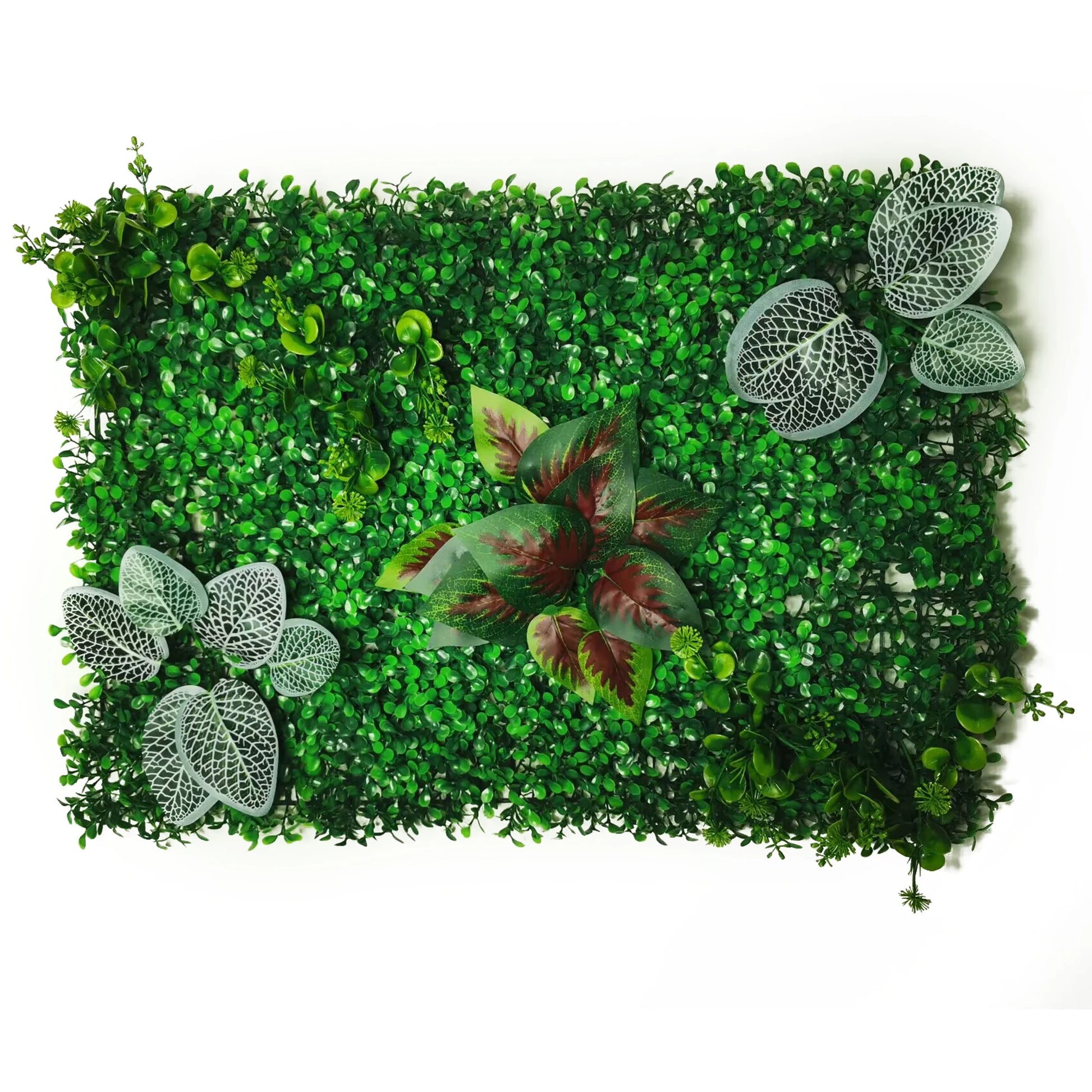 Tableau Végétal Salon- Déco Exotique