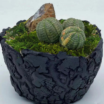 Mousse Artificielle pour Fleurs- Déco Exotique