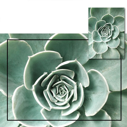 Affiche Jungle Plantes Déco-exotique.fr