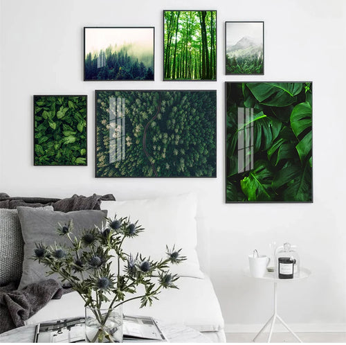 Poster Forêt-Déco Exotique