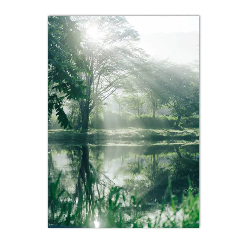 Affiche Paysage Jungle Déco-exotique.fr