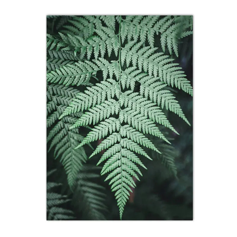 Affiche Paysage Jungle Déco-exotique.fr