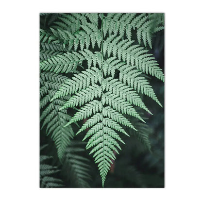 Affiche Paysage Jungle Déco-exotique.fr