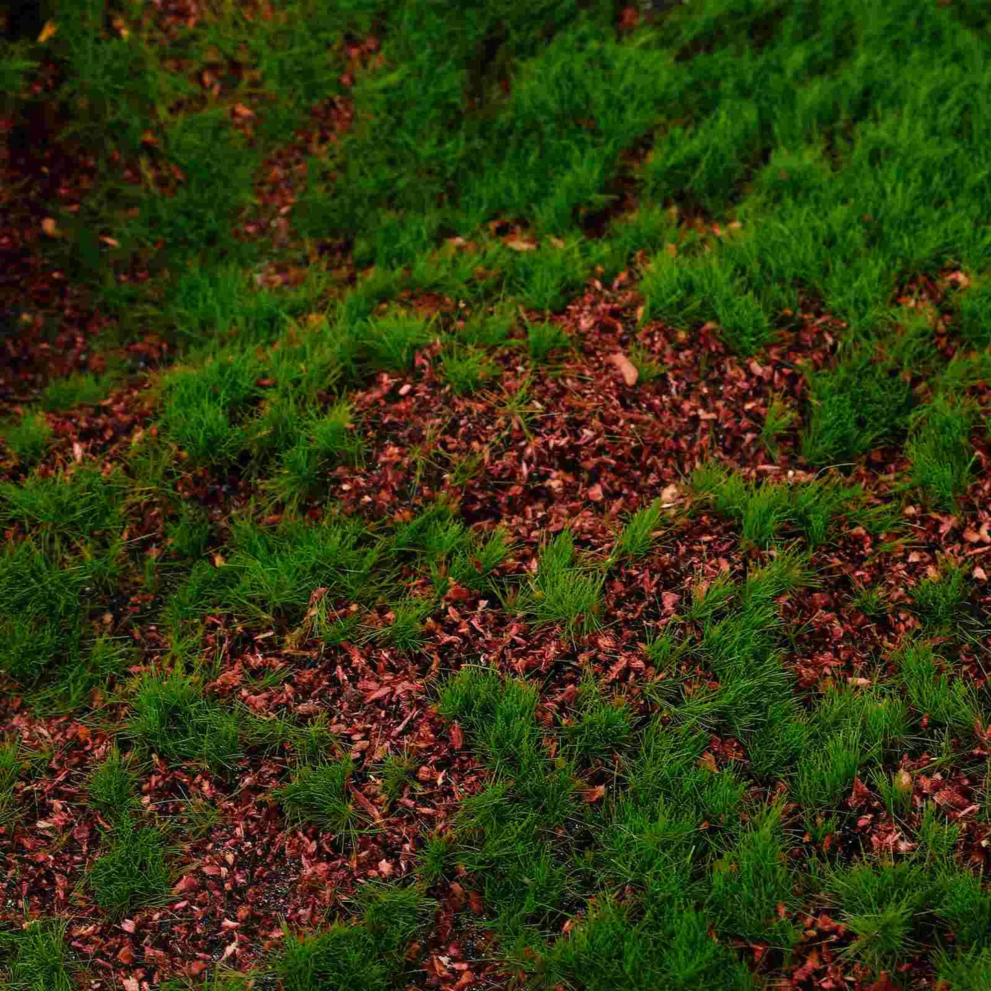 Panneau Mousse Artificielle Imitation Sous Bois- Déco Exotique