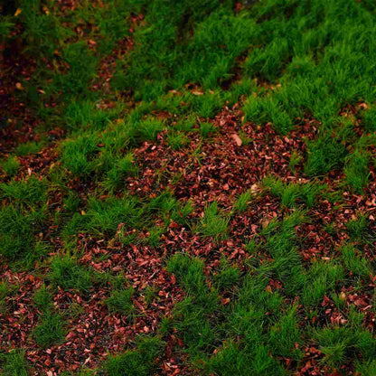 Panneau Mousse Artificielle Imitation Sous Bois- Déco Exotique