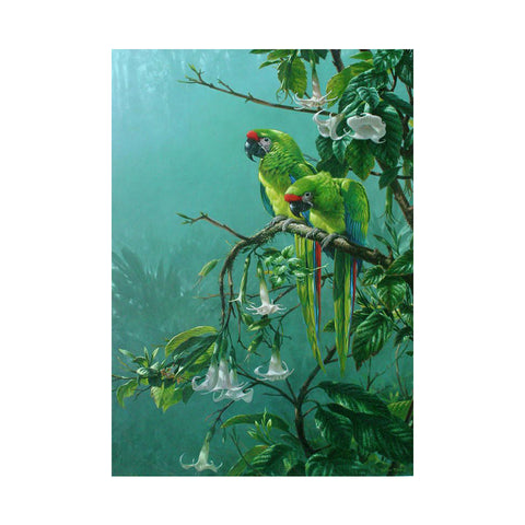 Affiche Jungle Couple Perroquet Déco-exotique.fr