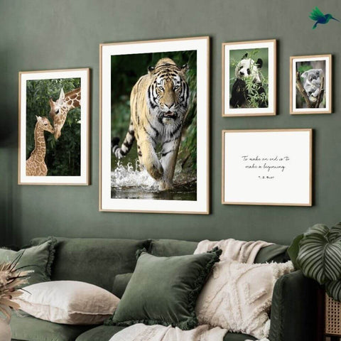 affiche enfant animaux de la jungle, poster enfant animaux jungle, tigre,  léopard, koala, girafe