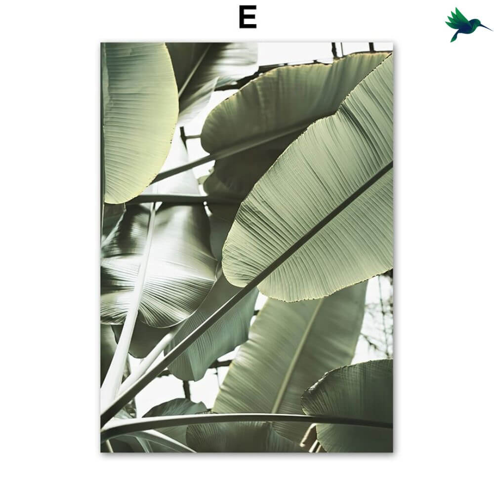 Affiche Murale Jungle Déco-exotique.fr