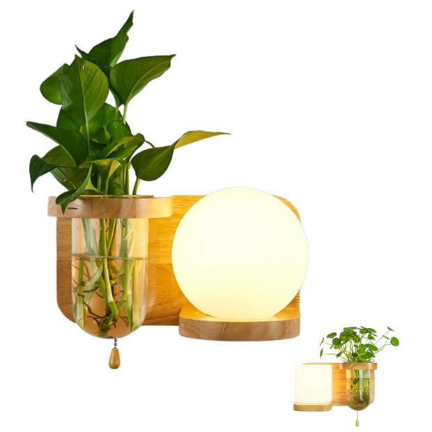 Applique murale pour Plante Déco-exotique.fr