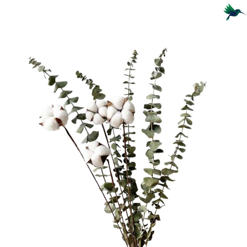 Bouquet Fleurs de Coton et Eucalyptus Déco-exotique.fr