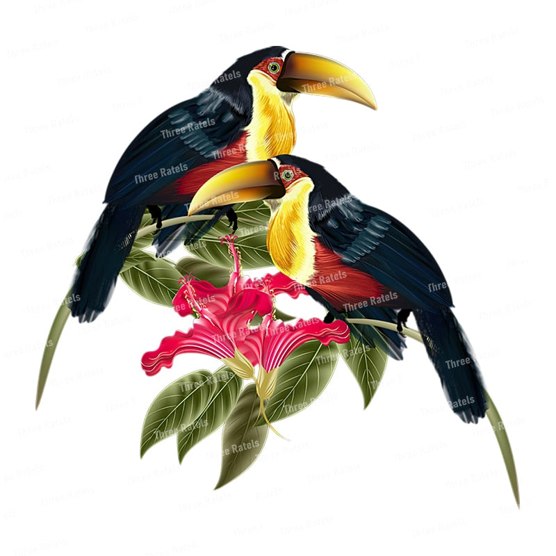 Stickers Oiseaux Tropicaux Déco-exotique.fr