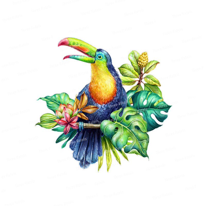 Stickers Oiseaux Tropicaux Déco-exotique.fr