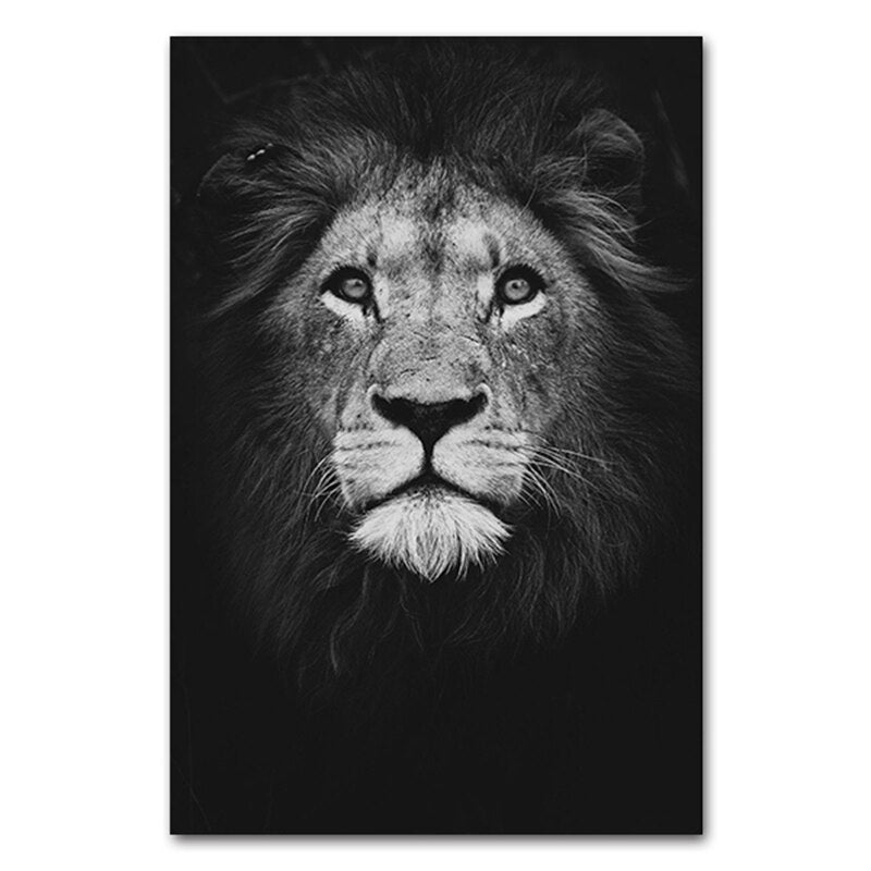 Affiche Animaux noir et blanc Déco-exotique.fr