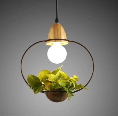 Suspension Luminaire avec Plante Déco-exotique.fr