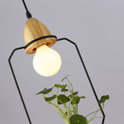 Suspension Luminaire avec Plante Déco-exotique.fr