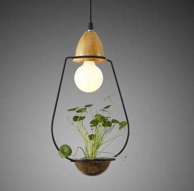 Suspension Luminaire avec Plante Déco-exotique.fr