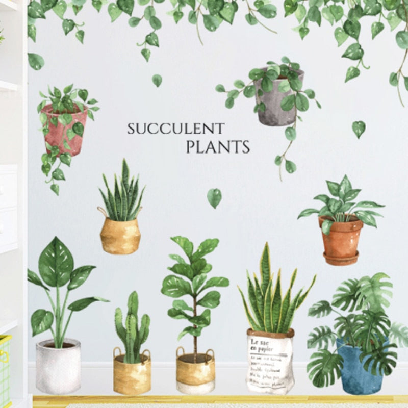 Stickers Plante Succulentes Déco-exotique.fr