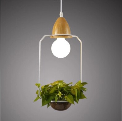 Suspension Luminaire avec Plante Déco-exotique.fr