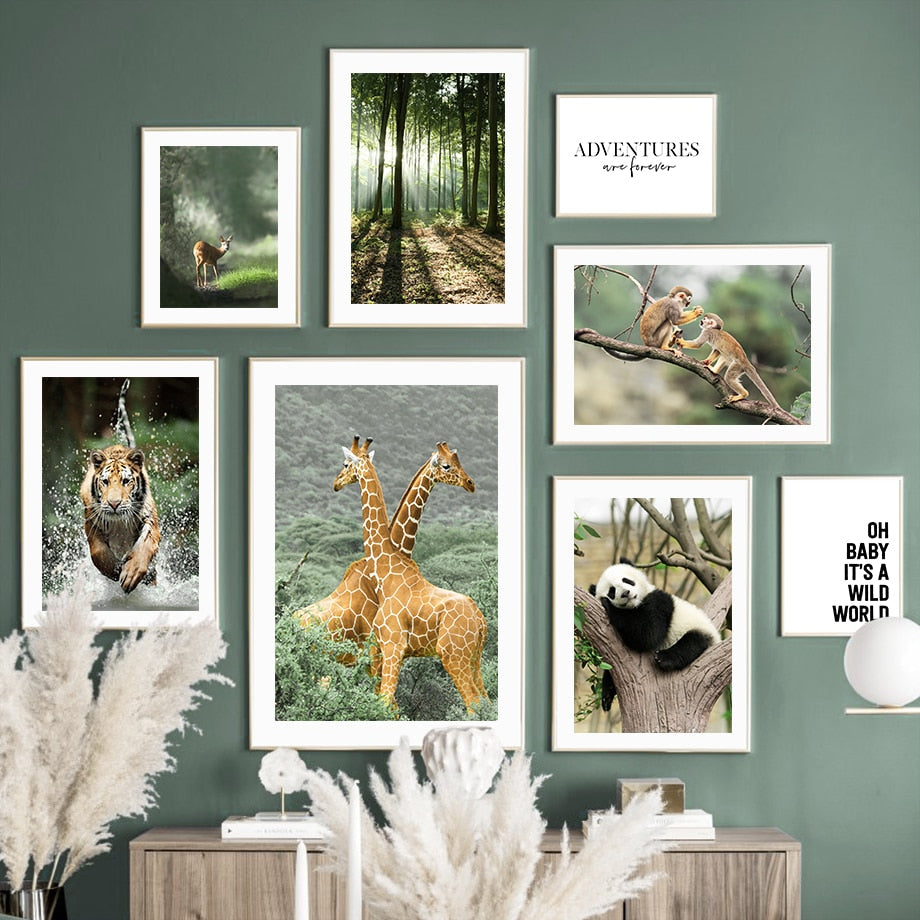 Affiche Jungle Animaux Forêt Déco-exotique.fr