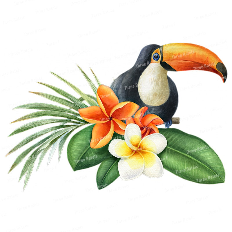 Stickers Oiseaux Tropicaux Déco-exotique.fr