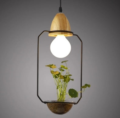 Suspension Luminaire avec Plante Déco-exotique.fr