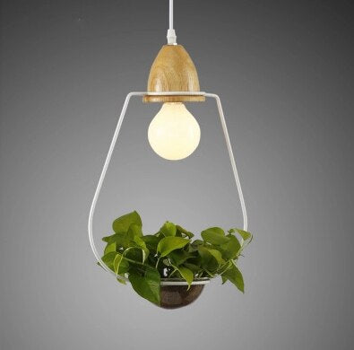 Suspension Luminaire avec Plante Déco-exotique.fr