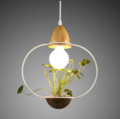 Suspension Luminaire avec Plante Déco-exotique.fr