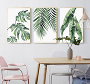 Affiche plante tropicale Déco-exotique.fr