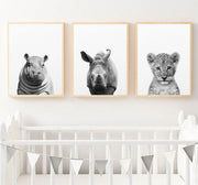 Affiche bébé Animaux noir et blanc Déco-exotique.fr