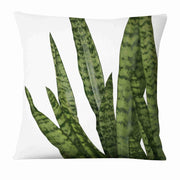 Coussin Déco tropicale Déco-exotique.fr