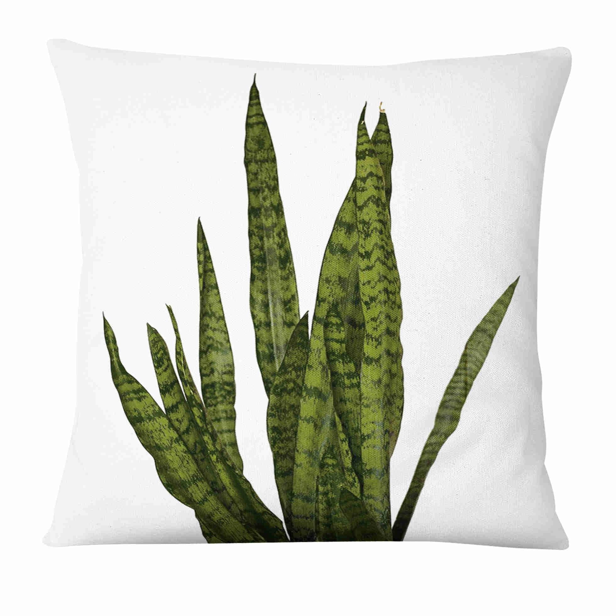 Coussin Déco tropicale Déco-exotique.fr