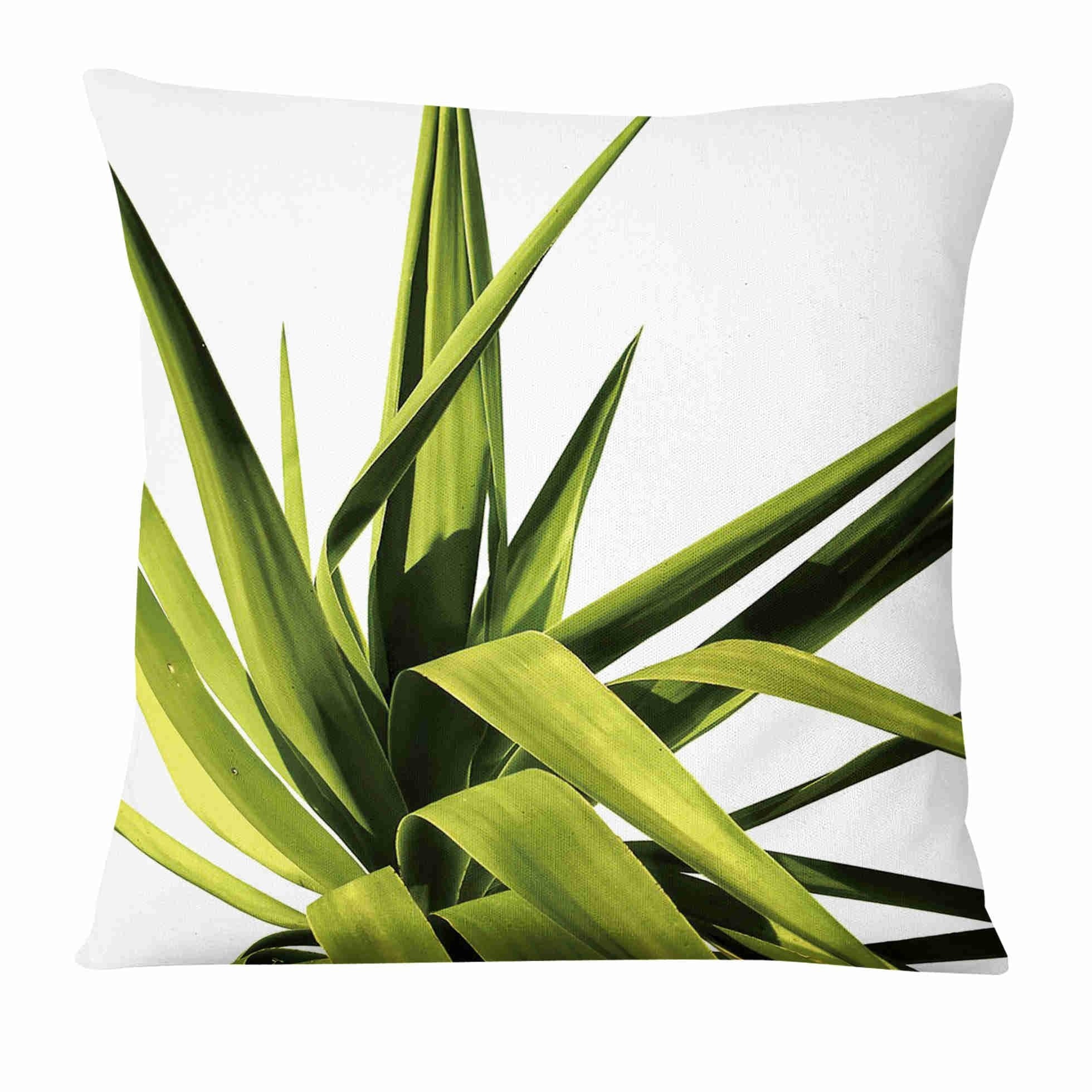 Coussin Déco tropicale Déco-exotique.fr