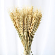 Bouquet épis de blé Déco-exotique.fr