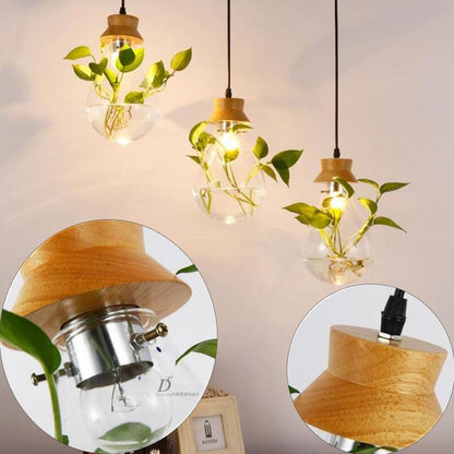 Suspension Luminaire Plante Déco-exotique.fr