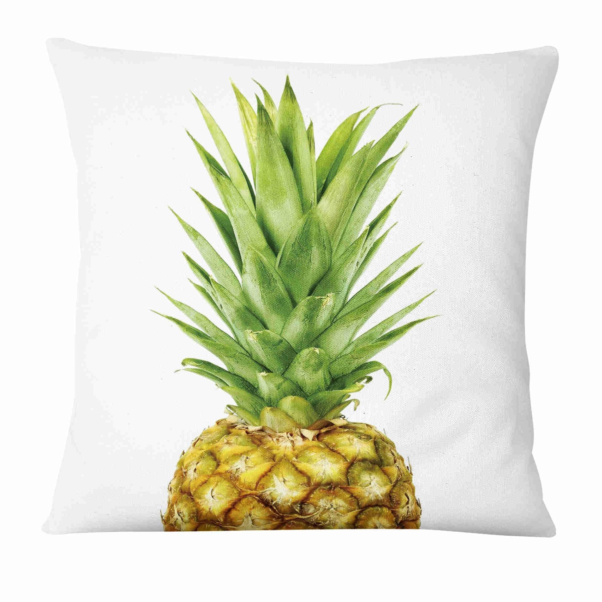 Coussin Déco tropicale Déco-exotique.fr