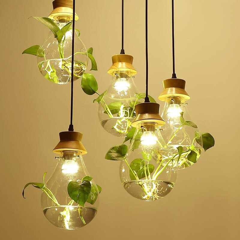 Suspension Luminaire Plante Déco-exotique.fr