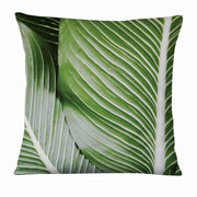 Coussin Déco tropicale Déco-exotique.fr