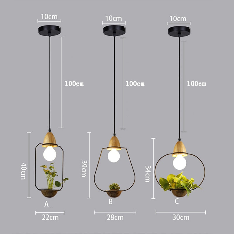 Suspension Luminaire avec Plante Déco-exotique.fr