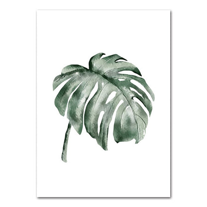 Affiche plante tropicale Déco-exotique.fr