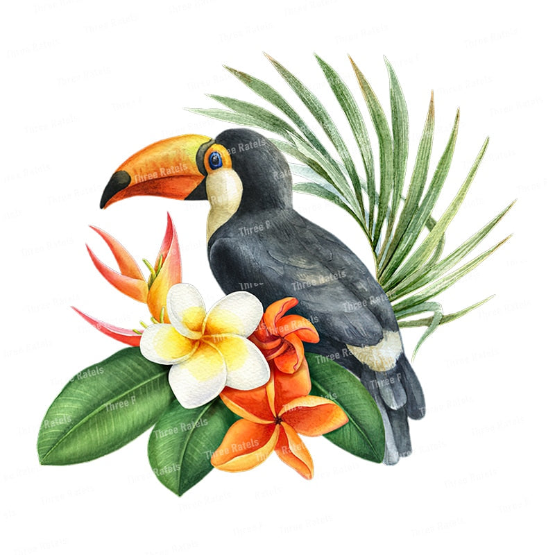 Stickers Oiseaux Tropicaux Déco-exotique.fr