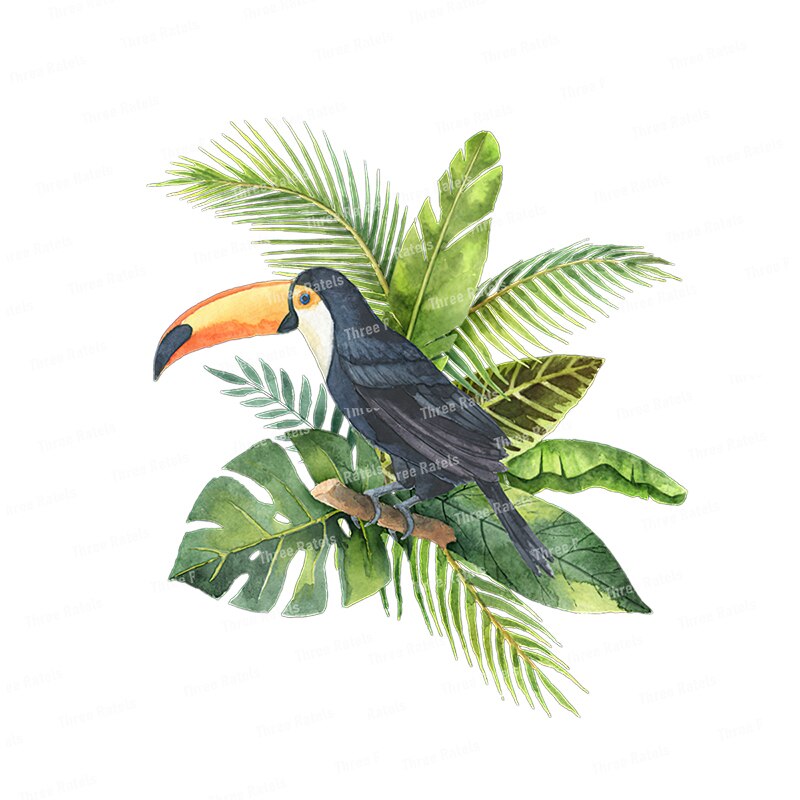 Stickers Oiseaux Tropicaux Déco-exotique.fr