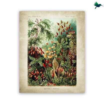 Poster Jungle Vintage Déco-exotique.fr