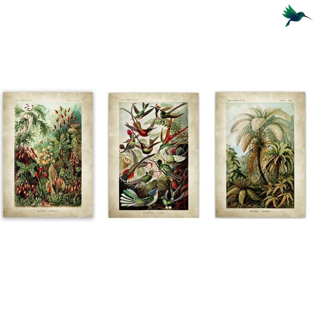 Poster Jungle Vintage Déco-exotique.fr