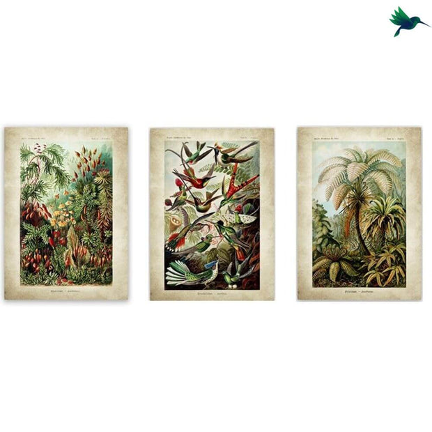 Poster Jungle Vintage Déco-exotique.fr
