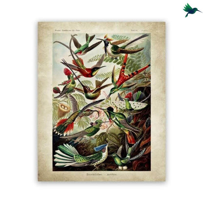 Poster Jungle Vintage Déco-exotique.fr