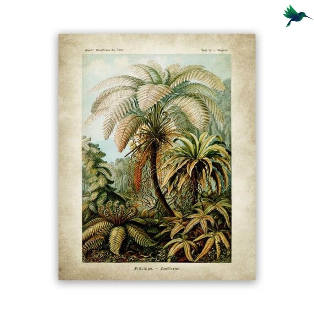 Poster Jungle Vintage Déco-exotique.fr